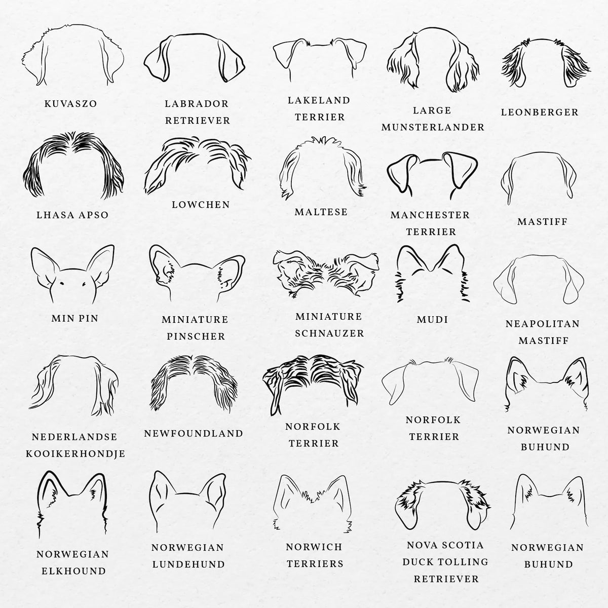 Dog Ear Design