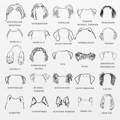 Dog Ear Design